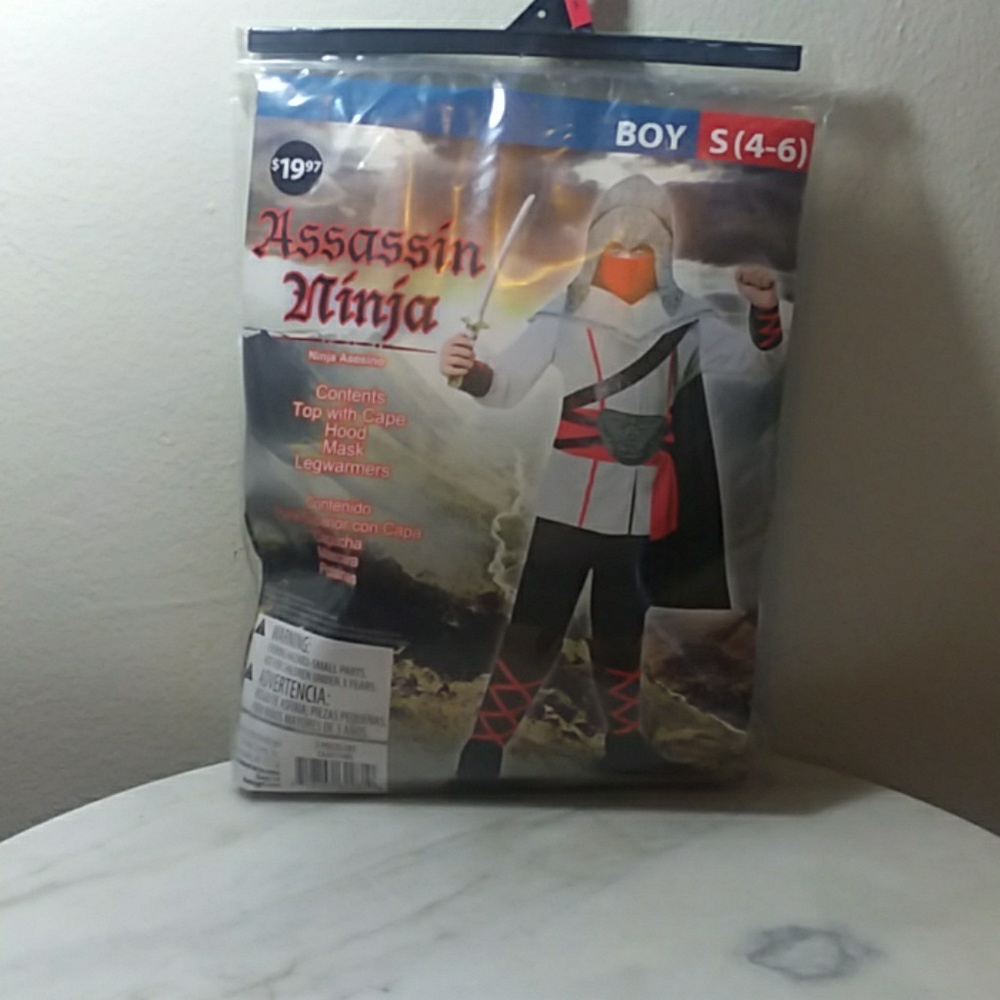 Assassin ninja costume